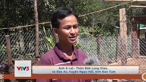 [TIẾNG GIÉ TRIÊNG] XÃ ĐĂK XÚ THAY ĐỔI NẾP NGHĨ, CÁCH LÀM TRONG VÙNG DTTS | VTV5