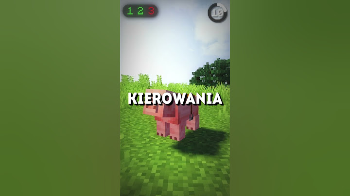 Tych Rzeczy Nie Powinno Być w Minecrafcie...