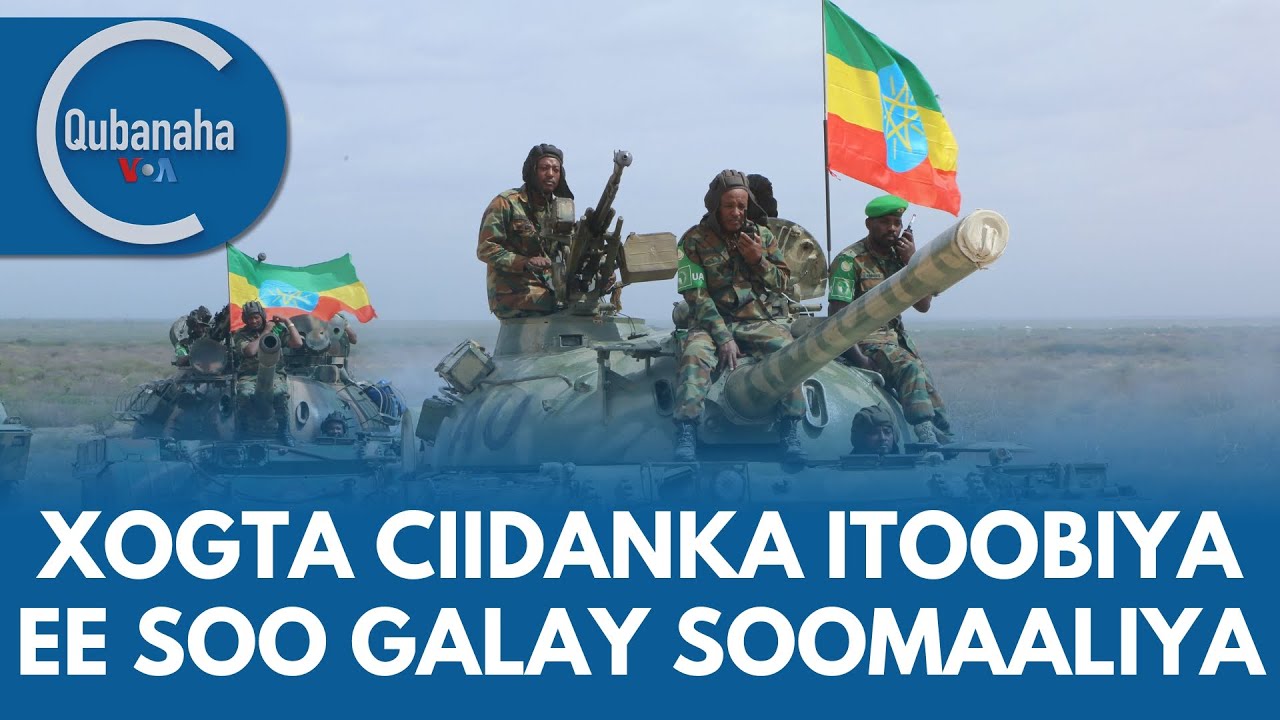 U papua qabilasiga kirdi va behuda edi. U papua qabilasiga kirdi va behuda edi.