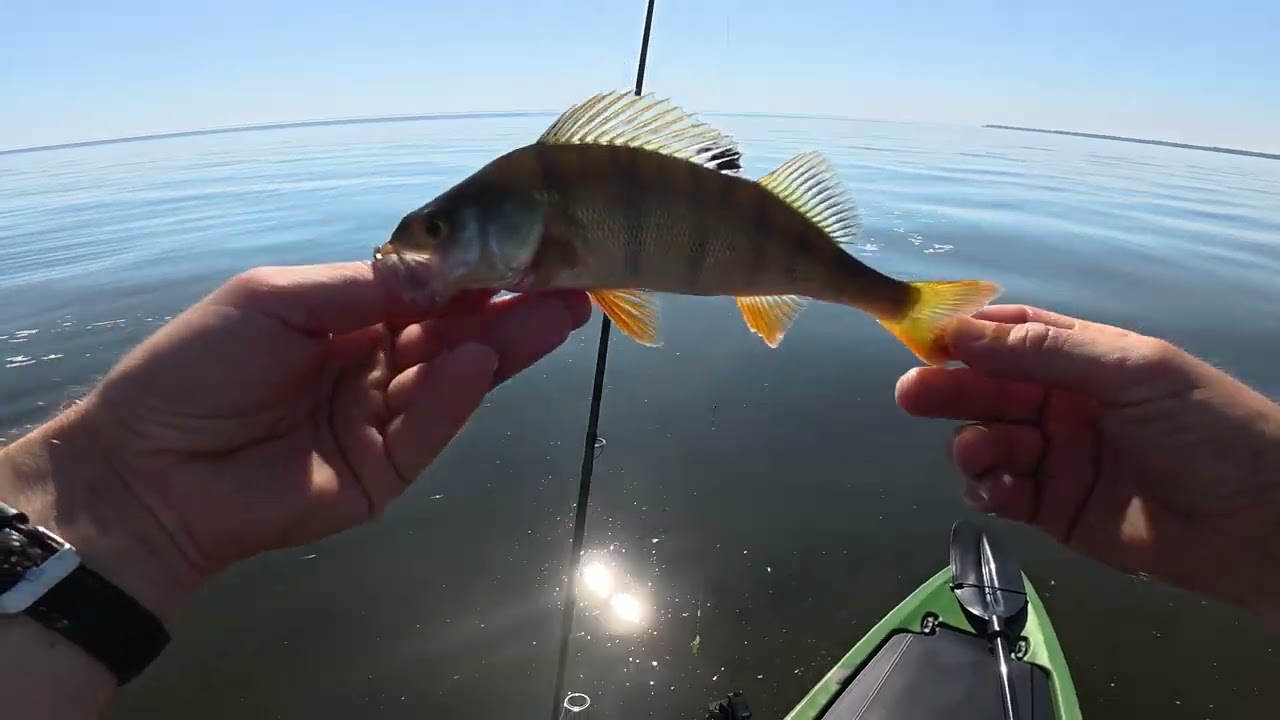 Kajakiga Peipsil kalal