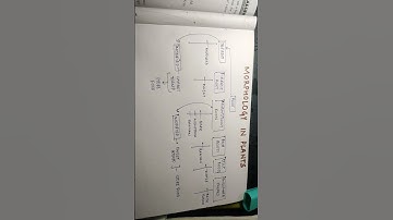 #morphology #roots #ncertexamples #biology
