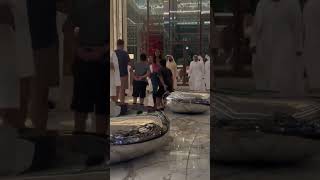 الشيخ محمد بن راشد آل مكتومshots dubaimall