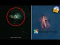 WUJUD MONSTER LAUT KRAKEN & FAKTA SEBENARNYA DI GOOGLE MAPS/EARTH - MONSTER GURITA CUMI CUMI DI LAUT