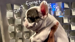 Pleas Don't Skip This Step - Why Skipping this Step Could Cost You Your Pet's Life