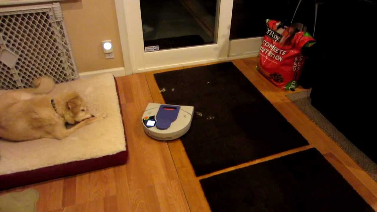 Neato XV 21 Robotic Vacuum Vs Ton Of Pet Hair Vacuum Demo