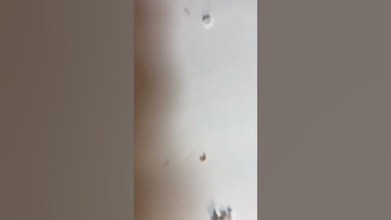 Air Rifle Backstop & Target Holder Test YouTube