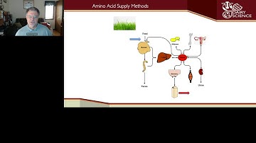 Methods & Challenges for Assessing Amino Acid Bioavailability