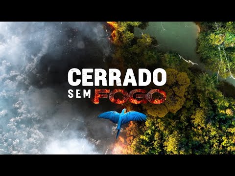 Cerrado Sem Fogo #1: queimadas causam sérios prejuízos ao bioma | Canal Rural