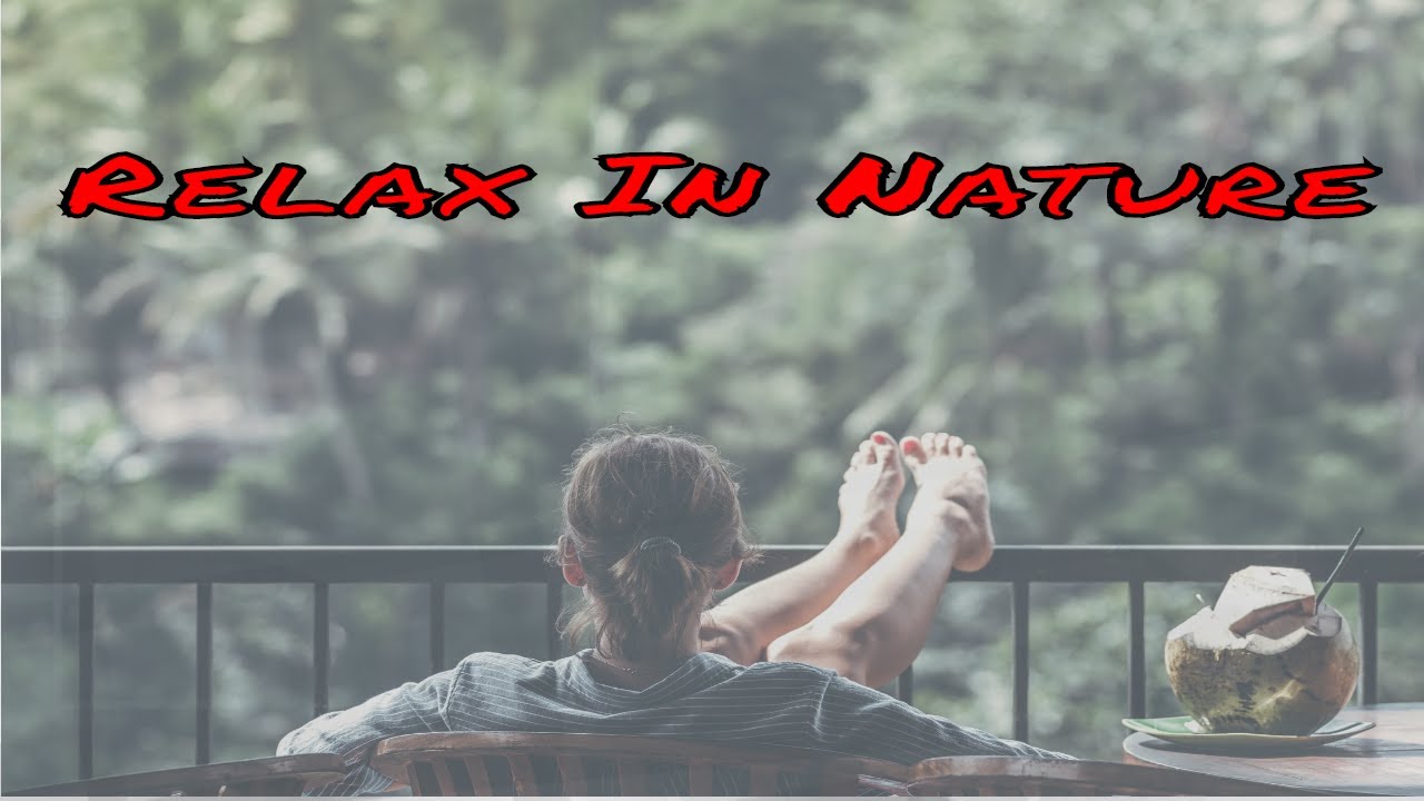 Relax In Beautiful Nature | Nitro Nature