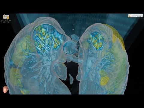 Dr. Mortman GWUH - COVID-19 Patient VR Flythrough 2