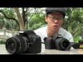 Canon 550D vs Nikon D3100