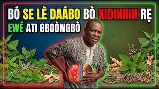 How to prevent kidney failure or kidney disease using natural herbs, Plants and root