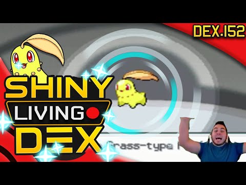 Pijako SHINY (Chatot) live reaction ! - Shiny Living Dex Quest