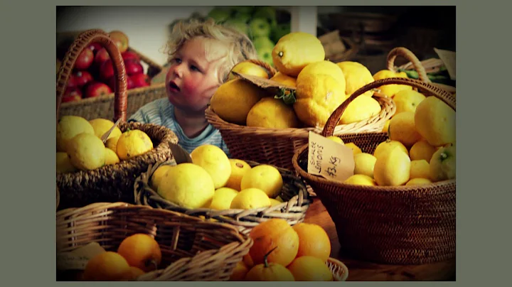 Grow Lightly Food Hub Presentation - Meredith Free...