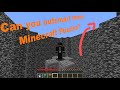Can you beat these 5 MINECRAFT PUZZLES?