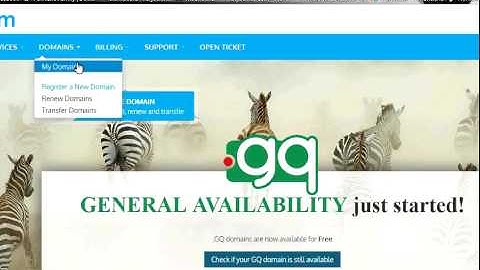 Tutorial Register Dot TK Dan Pointing SSH ke Domain + Setting Bitvise