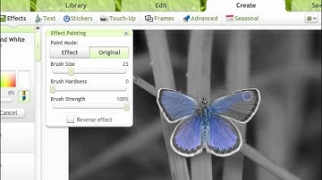 How to color splash a photo on Picnik