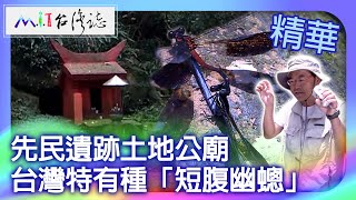 Ancestral ruins and a local Earth God temple.Taiwan's endemic species, the 'Dodonai dragonfly.' by MIT台灣誌 1,009 views 2 weeks ago 13 minutes, 14 seconds