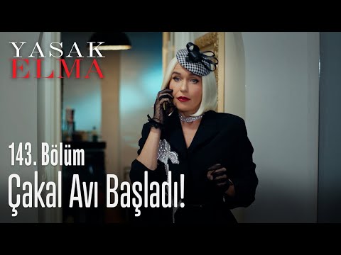 Çakal avı başladı! - Yasak Elma 143. Bölüm