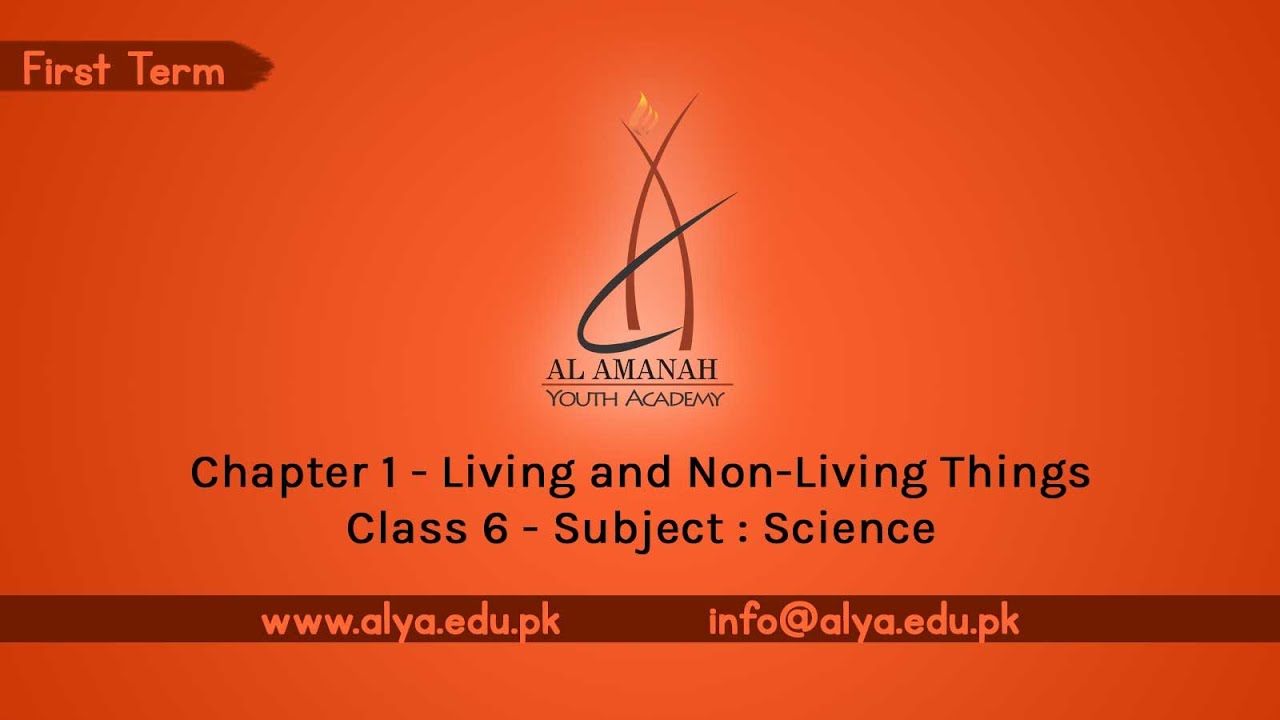 Chapter 01 Living And Non Living Things Class 6 Science YouTube