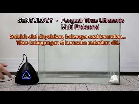 Video: Pengusir tikus ultrasonik: ulasan, harga