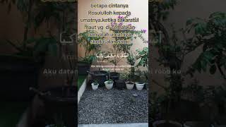 Download Lagu betapa cintanya Rosululloh kepada kita umatnya MP3 Download Lagu betapa cintanya Rosululloh kepada kita umatnya MP3
