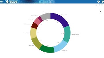 BLUE Software Business Intellegence