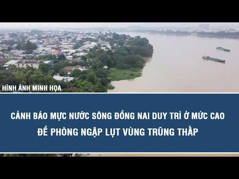 Dong Nai River water levels remain high; flood warning for low-lying areas