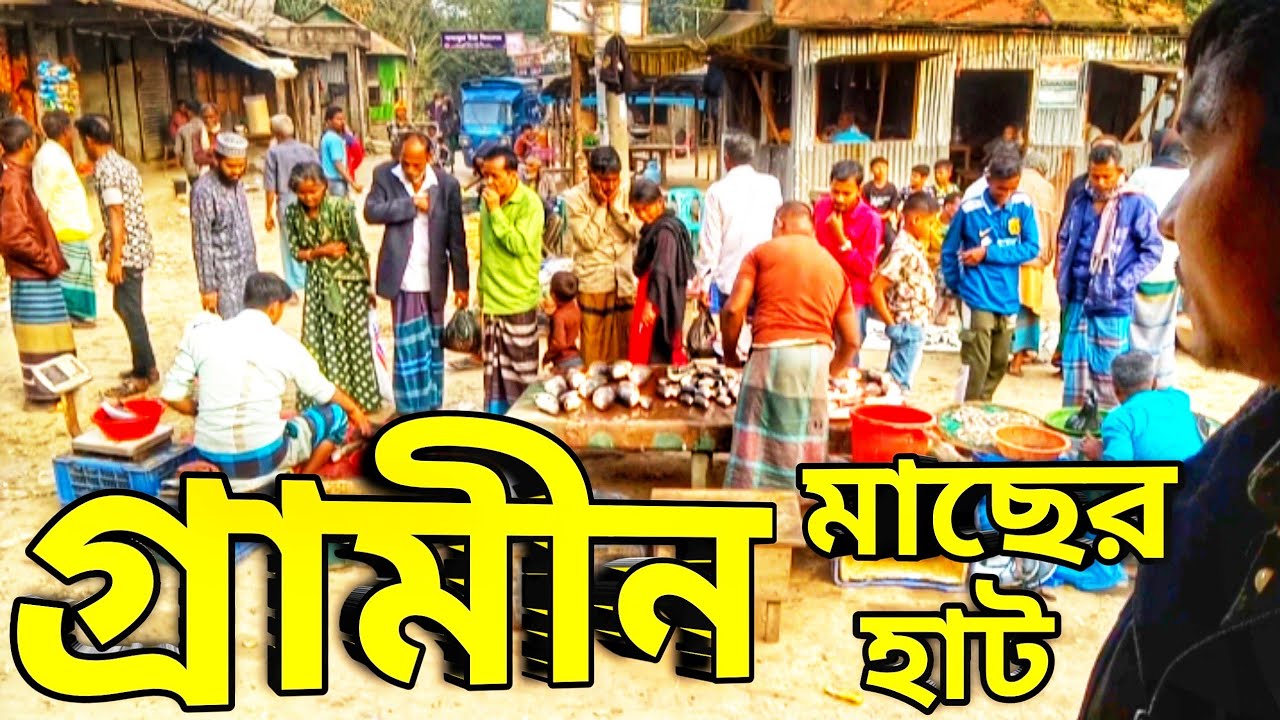 গ্রামীন মাছের হাট | মাটিতে বসে মাছ বিক্রি | Village Fish Market in Bangladesh