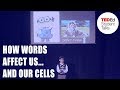 How words affect us and our cells
