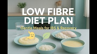 “Low Fibre Diet Plan : Gentle Meal Ideas for IBS, Crohn’s & Digestive Recovery” screenshot 3