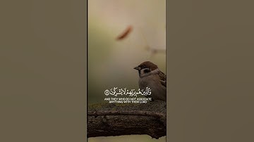 #تلاوات🎙🍃#سورة_المؤمنون#انس_المالك #قرآن_الصباح #اكتب_شي_توجر_عليه #اذكار_الصباح #ارح_سمعك_وقلبك