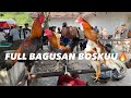 Pasar Ayam Gawok Sukoharjo ISTIMEWA BOSKUUUU🔥, Full Bagusann