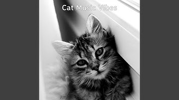 Sublime Moods for Training Your Cat