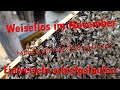 Weisellos im November!