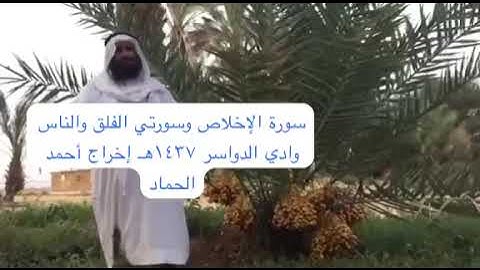 دحيم الحماد ١٤٣٧هـ تلاوة في وادي الدواسر