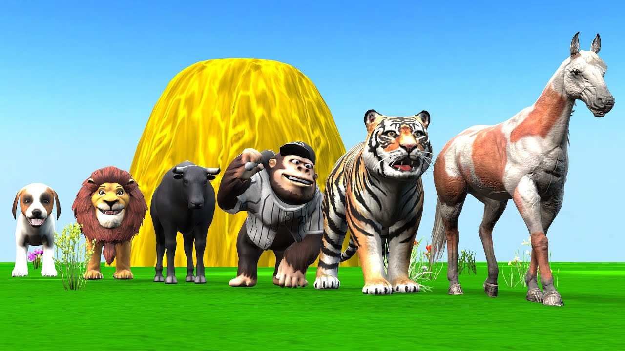 Paint & Animals Cat, Pig, Rabit Buffalo, Lion Fountain Crossing Transformation Animal Cartoon - P1