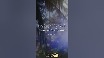 سورة النحل / إن إِبراهيم كان أمةً قانتًا لله حنيفًا ولم يك من المشركين