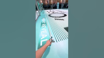 Thumbnail of 20,000 dominoes to set a GUINNESS WORLD RECORDS™ title! (pt. 4)