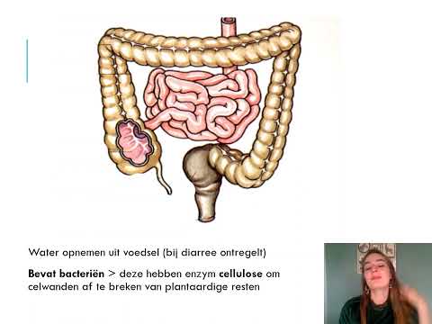 Video: Wat is de minerale splitsing in vier richtingen?