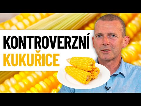 Video: Otrháváte sladkou kukuřici?