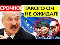 Беларусь, СРОЧНО! Мигранты ПОДСТАВИЛИ Лукашенко под НОВЫЕ САНКЦИИ Евросоюза! Новости Беларуси