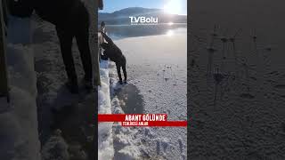 Bolu Abant'ta buz tutan gölde tehlikeli anlar