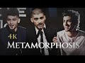 Zayn  metamorphosis edit