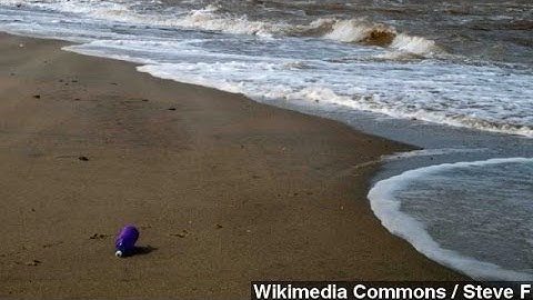 Message In A Bottle Found After A Century At Sea
