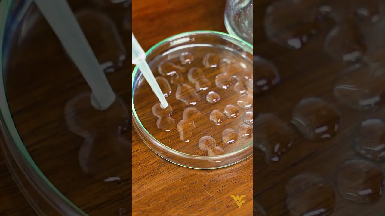 Environmental Engineering at WVU | 2024