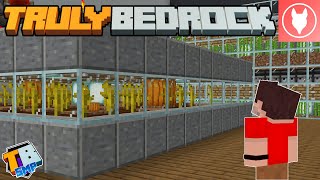 Truly Bedrock SMP - S2 : E15 - Automatic Farms ( Pumpkins, Melons, Honey, Sugarcane )