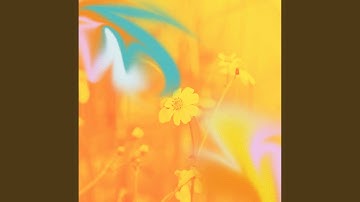 Romantic Backdrops for Tasteful Memories