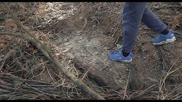 Conceptual PlayWorld Macclesfield Year 5 and 6 Characteristic 4