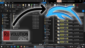 How to run Riivolution mods on Dolphin